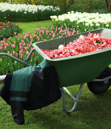 City Garden Cleaning