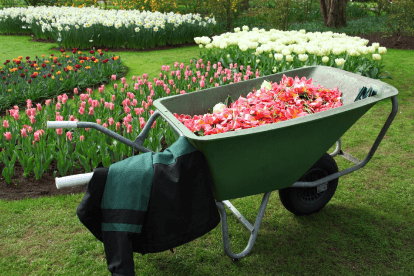 Make Your Home Smell Cozy with a Stovetop Simmer